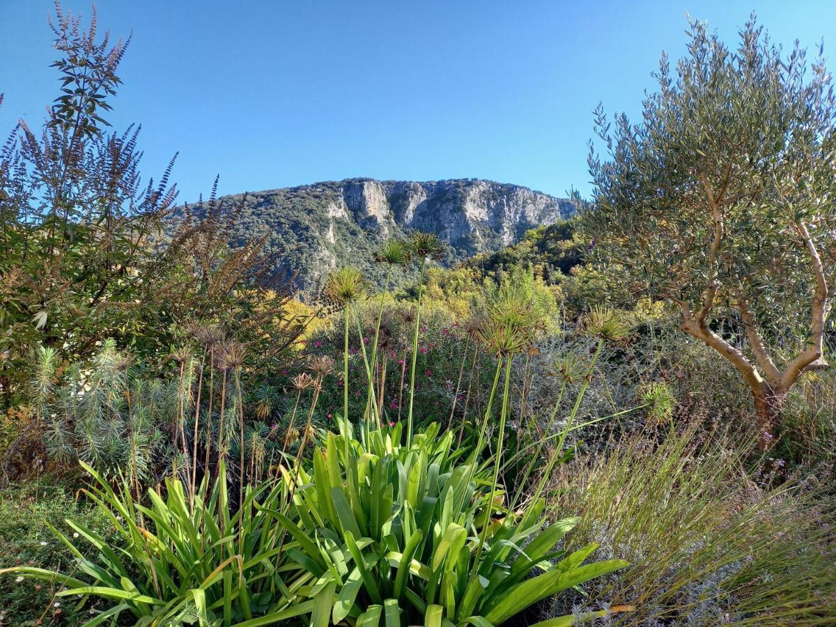 Gite En Cevennes Du Sud, Bergerie Restauree Au Rez De Jardin D'Une Bastide Avec Piscine, Vue Exceptionnelle, Authenticite Et Confort Saint-Laurent-le-Minier Eksteriør billede