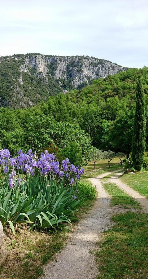 Gite En Cevennes Du Sud, Bergerie Restauree Au Rez De Jardin D'Une Bastide Avec Piscine, Vue Exceptionnelle, Authenticite Et Confort Saint-Laurent-le-Minier Eksteriør billede